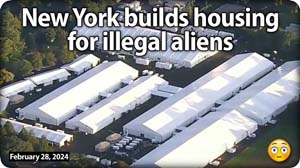 housing_illegals