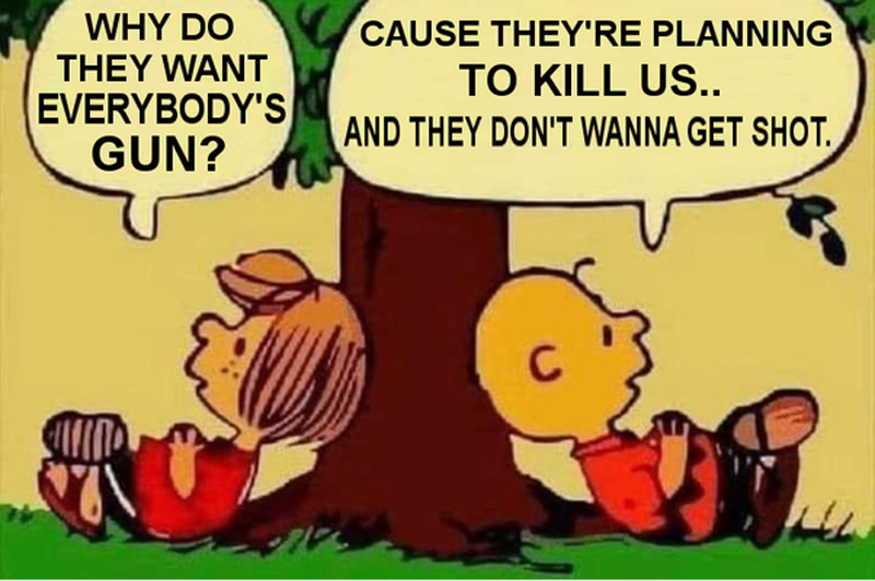 peanuts_gun_laws