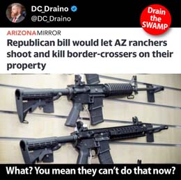 Arizona_gun_law